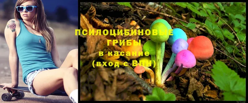 как найти закладки  Балабаново  Галлюциногенные грибы MAGIC MUSHROOMS 